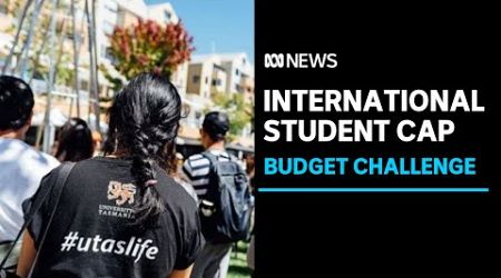Limit on international students forces Tasmania&#39;s uni to embark on cost-cutting drive | ABC News