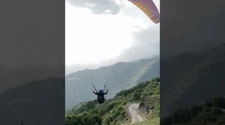 paragliding in bir billing (shots video) #paragliding #birbilling #nature #travel #course
