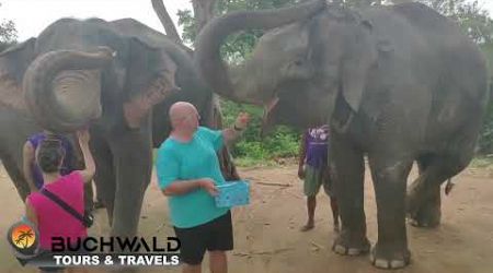 Elephant Care - Happiness You Can Touch! - Koh Samui - May 2024
