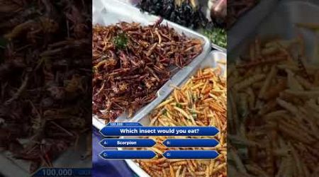 Which insect would you try? 