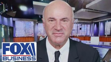 Kevin O&#39;Leary: TikTok has two choices—shut down or sell it to me