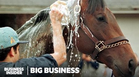 Why It Can Cost Millions To Win America&#39;s Biggest Horse Race | Big Business | Business Insider