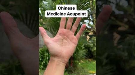 Chinese Medicine Palm Acupoint