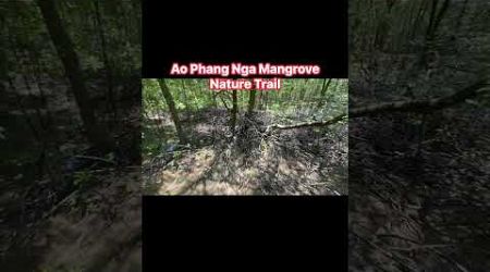 Thailand …….Ao Phang Nga Mangrove Nature Trail