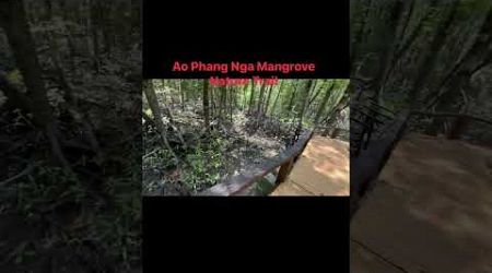 Thailand …..Ao Phang Nga Mangrove Nature Trail