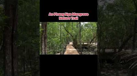 Thailand ….Ao Phang Nga Mangrove Nature Trail