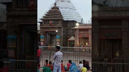 jagannath temple puri#srimandira Chari pate#jagannathbhajan#trends#ytshorts