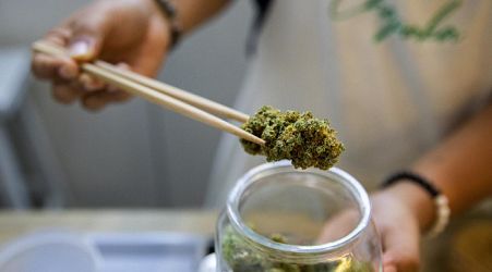 The economic benefits of cannabis