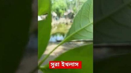 Sura ikhlas Bangla #popular #vairal #ytshorts #shortsfeed #comment #funny #bdnature #subscribe