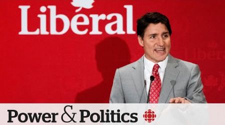 Liberal leader change won’t flip ‘soft voters,’ pollsters say | Power &amp; Politics
