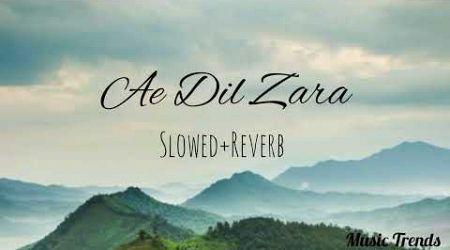 Ae Dil Zara Slowed+Reverb by Sunidhi Chauhan, Jubin Nautiyal | Music Trends