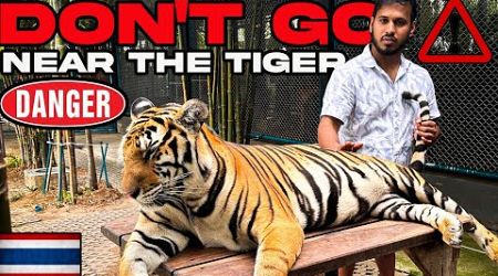 Unleashing the Wild: A Day in the Tiger Park Pattaya | Thailand Episode 4