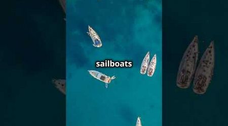 How Many Sailboats in Mexico? #sailing #boat #shorts