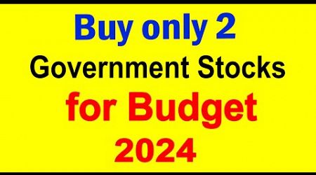 Hold only 2 Government stocks for budget 2024 | Best Budget stocks | Budget Rally