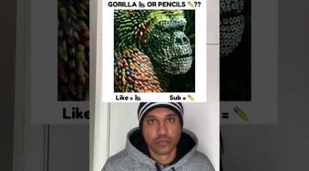 Do you see a gorilla 
