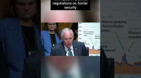 Sen. Ron Johnson SCOLDS Mayorkas Over the impact of political negotiations on border security