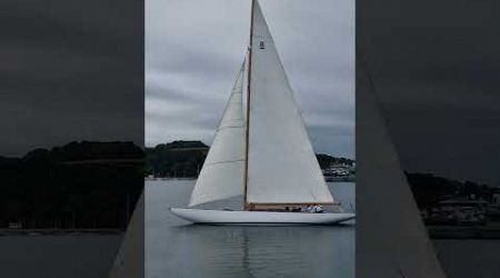 International 8 metre yacht &quot;Pinuccia&quot;... A beautiful classic sailing machine! #shorts