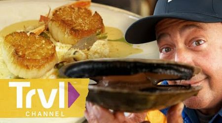 Diving for Scallops in Newfoundland | Bizarre Foods with Andrew Zimmern | Travel Channel