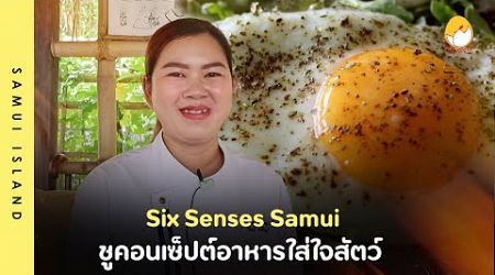 Six Senses Samui อาหารเช้าอารมณ์ดีจากไข่ไก่อารมณ์ดี