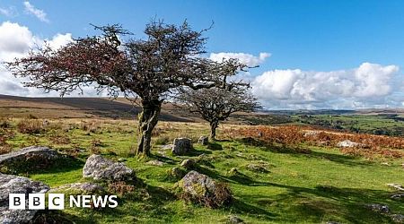 Lib Dems propose three new national parks