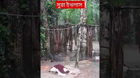 Surah ikhlas Bangla Anubad #popular #vairal #ytshorts #shortsfeed #nature #islamicgojolislamic #waz