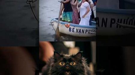 Bombastic boat #animals #viral #popular