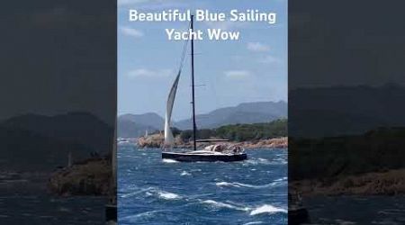 Blue Sailing Yacht#trending #viralvideo #travel #summer #season #adventure #vacation #beach#500subs