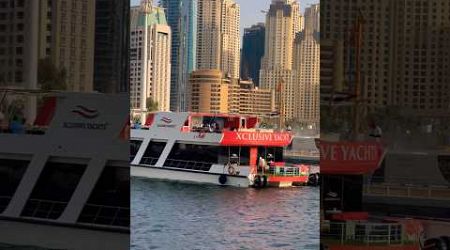 Dubai harbour yachts #dubai ##viral #travel #youtubeshorts #trending #yacht #shorts #shortvideo