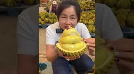 Durian Fruit Real Information