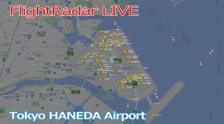 -Flight Radar LIVE - 羽田空港 ライブカメラ 2024/7/6 TOKYO International Airport HANEDA HND Plane Spotting