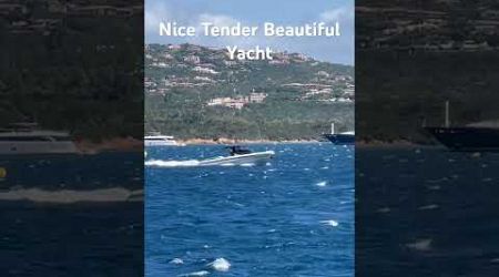 Nice Tender Beautiful Yacht#trending #viralvideo #travel #summer #season #500subs #beach #adventure