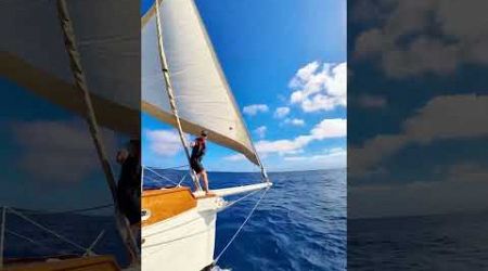 #whisky #sailboat #yachtclubs #sailingyacht