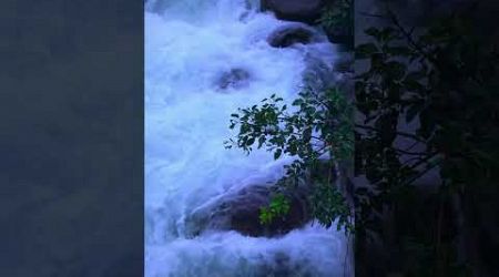 Monsoon Kerala forests Location: Nilambur #kerala #nilambur #nature #waterfall #travel