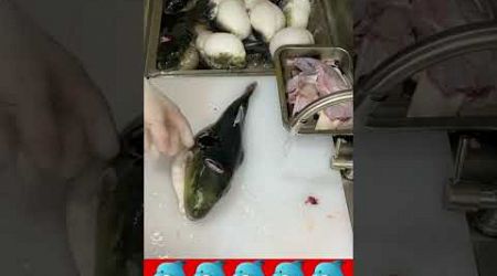 popular Puffer fish cutting Meat skills #shorts