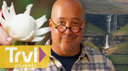 The Sweetest Turnips on the Planet! | Bizarre Foods with Andrew Zimmern | Travel Channel