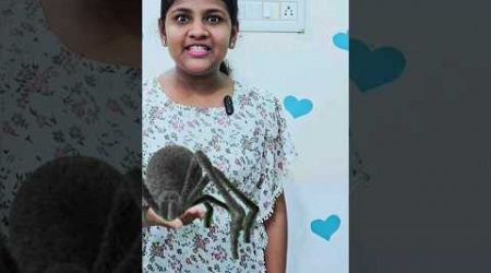 My spider friend part 1 | #prabhusaralalifestyle | #comedy | #trending | Prabhu Sarala lifestyle