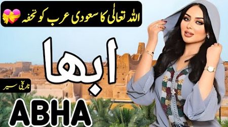 Travel to Abha City | Full History and Documentary about Abha in Hindi/Urdu | By Clock Work