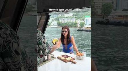 How to start your Tuesday on a yacht I Galeon 500 fly
