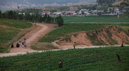 Forced labor in North Korea cited as possible crime against humanity