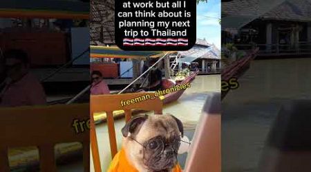 Thailand daydreams 