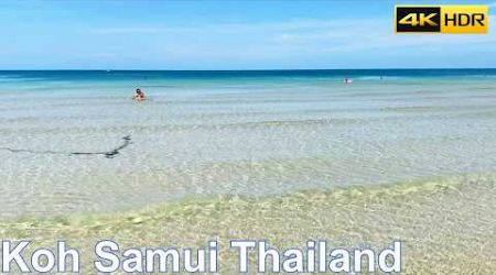 Koh Samui Thailand Travel Vlog | 4K HDR