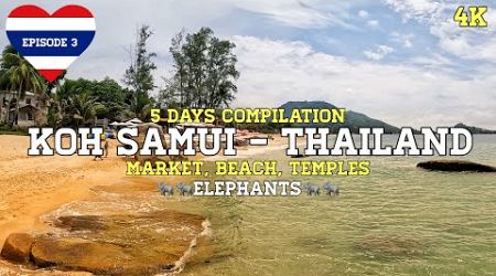 5 Days on Koh Samui Compilation (Market Beach Temple Elephant Fisherman’s Village Lamai) Episode 3