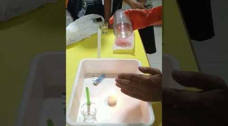Combustion and Flame Experiment #education #scienceexperiment #class8 #chemistry #science #cbse