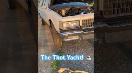 The Thot Yacht 
