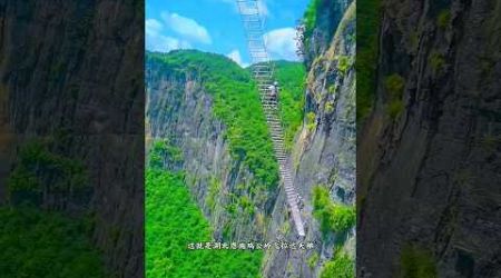 Ascend Asia&#39;s Most Daring Ladder - Can You Brave the Heights? #travel #bridge