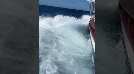 the salt way of life #alaska #oahu #sailboat #hawaian #boat #staysalty #hawaii #waves #automobile