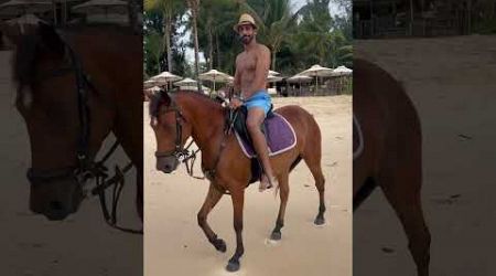 Jasmine horse riding bongtao beach phuket.￼