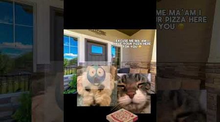 pizza | #rizz #cat #catfunny #funny #ohio #catvideos #kitten #swaginohio #popular #viralshorts #fyp