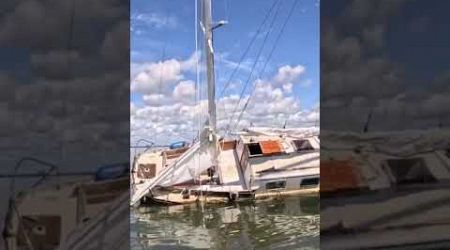 The abandoned Patient Sailor sailboat #shorts #trending #subscribe #youtuber