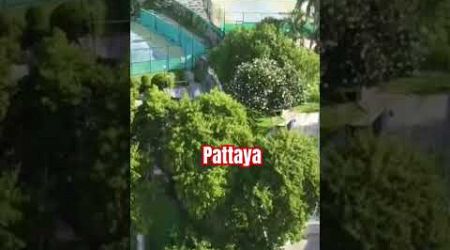 pattaya#คนชอบเที่ยว #กดติดตาม #shortvideo #thailand #ทะเล #พัทยา #pattaya #shorts #short